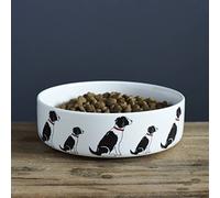 Sweet William Springer Spaniel (Black & White) Dog Bowl