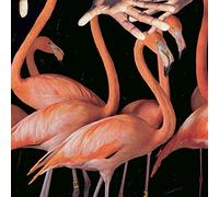 Sweet Williams - What'S Wrong With You [VINYL]