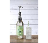 Sweetbird Mojito Mint Syrup 1 Litre