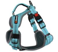 Sweetie Dog Harness No Pull Y-Shape with Control Handle & 2 D-Rings - Front Clip, Padded Neoprene, Breathable Reflective - No Pull Harness for Small Medium Large Dogs & Puppy Harness - Blue