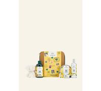 Sweetness & Sunshine Mango Big 5-Pieces Gift Set