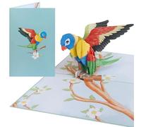 Sweetpopup® 3D Parrot Pop-up Card - Colorful Tropical Bird Greeting Card for Birthday, Thank You, Get Well, Congratulations, Mother’s Day, Father’s Day or Nature Lovers Gift 184