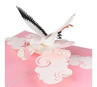 Sweetpopup® 3D Stork & Baby Pop-Up Card - Handmade with Premium Metallic Paper, Perfect for New Baby Girl Congratulations, Good Luck, Welcome to the World Greetings, or Gift Vouchers (054)
