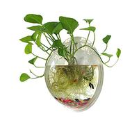 Sweetsea Hanging Wall Mounted 1 Gallon Fish Tank Bowl Aquarium Wall Decor Plant Fish Bubble - Clear (Large)