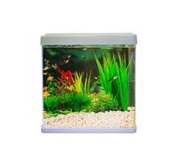 Swell Aquaventure Glass Aquarium, 14L, 30cm (White - With Heater)