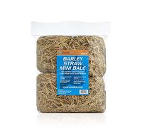 Swell Barley Straw Mini 2 pack. Barley Straw for Ponds to act as Pond Cleaner and Algae Treatment
