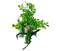 Swell Coriander Combination On Dead Wood Artificial Plant