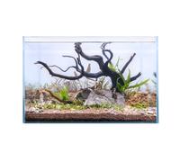 Swell Glass Aquarium Aqua Oasis, Crystal-Clear, 10.8l - 63l Capacity, Customisable Design, for Freshwater and Marine Fish, (50cm)