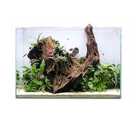 Swell Glass Aquarium Aqua Oasis, Crystal-Clear, 10.8l - 63l Capacity, Customisable Design, for Freshwater and Marine Fish, (60cm)