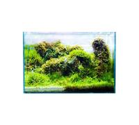 Swell Glass Aquarium Aqua Oasis, Crystal-Clear, 10.8l - 63l Capacity, Customisable Design, for Freshwater and Marine Fish, (35cm)