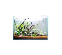 Swell Glass Aquarium Aqua Oasis, Crystal-Clear, 10.8l - 63l Capacity, Customisable Design, for Freshwater and Marine Fish, (30cm)