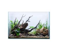 Swell Glass Aquarium Aqua Oasis, Crystal-Clear, 10.8l - 63l Capacity, Customisable Design, for Freshwater and Marine Fish, (40cm)