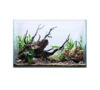 Swell Glass Fish Tank Aquarium, Crystal-Clear, 10.8l - 63l Capacity, Customisable Design, for Freshwater and Marine Fish, (40cm)