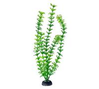 Swell Green Limnophila Heteophylla Artificial Plant - Medium