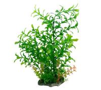 Swell Green Ludwigia Combination Artificial Plant