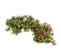 Swell Green & Red Trailing Leaves Artificial Plant