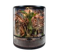 Swell Half Moon Glass Terrarium, 56x28x64cm, Dual Front Doors, Crystal Clear