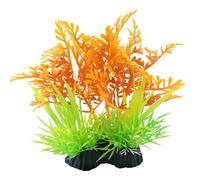 Swell Green Pinatifida Artificial Plant - Small Aquarium Décor