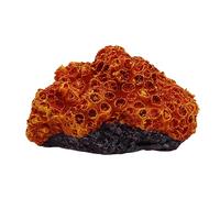Swell Orange Resin Brain Coral Aquarium Décor