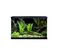 Swell Premium 50cm Tropical Fish Tank, 38L, 50 x 26 x 32cm, LED Lighting, 4-Stage Filtration