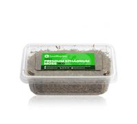 Swell Premium Sphagnum Moss 1KG Tub For Reptiles And Plants. Suitable For Tortoise, Snakes And Orchids.
