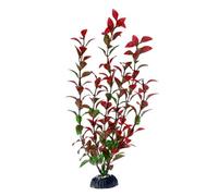 Swell Red Moneywort Artificial Plant