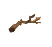 Swell Reptile Artificial Bendable Tree Branch Enclosure Decor 50cm