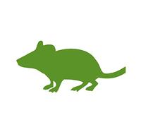 Swell Reptiles 100 Pack of 4g Frozen Mice Fuzzies. Outstanding Snake Food