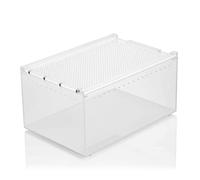 Swell Reptiles Acrylic Display Box