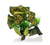 Swell Reptiles Artificial Golden Pothos