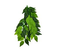 Swell Reptiles Artificial Trailing Ficus 30Cm