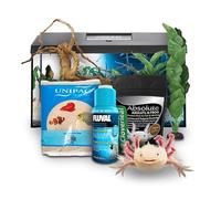 Swell Reptiles Axolotl Juvenile Starter Kit (Black)