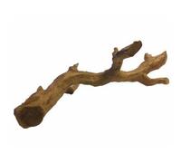 Swell Reptiles Bendable Reptile Tree