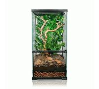 Swell Reptiles Glass 30cm x 30cm x 60cm Paludarium and Reptile Tank for Geckos and Lizards