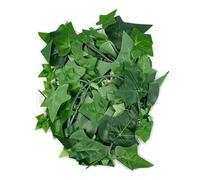 Swell Reptiles Ivy Vine Artificial Plant 190cm
