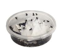 Swell Reptiles Live Curly Wing Flies for Reptiles. Ideal Live Food for Reptiles