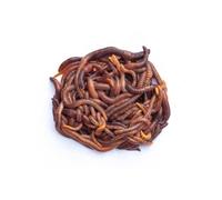Swell Reptiles Livefood: Small Dendrobaena Earthworms - 35 Pack