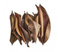 Swell Reptiles Mangus Leaves Mixed 10 Pack