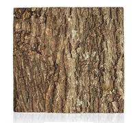 Swell Reptiles Natural Cork Tile Background Enclosure Decor (25 x 40cm approx.)