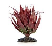 Swell Reptiles Red Cactus Plant
