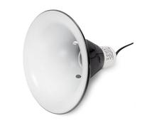 Swell Reptiles Reflector Lamps (Small)