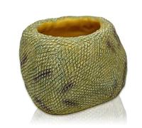 Swell Reptiles Snake Bowl