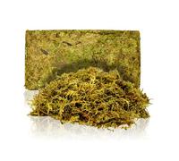 Swell Reptiles Terrarium Moss Substrate (Green)