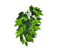 Swell Reptiles Trailing Ficus 40Cm