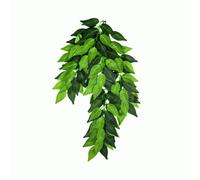Swell Reptiles Trailing Ficus 50Cm