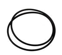 Swell UK Pressure Filter Deluxe 8000 O Ring (8000)