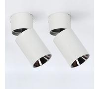 SWENEEN Pendant Light 2 Pack Led Surface Mount Spotlight Adjustable Ceiling Downlight Accent Spot Lamp 7w Gallery Picture Lights Amp Mini Spotlights,Blanc4000k