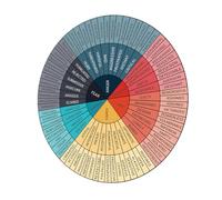 SWETRACE Emotion Wheel Sticker for Laptop and Computer Self-Adhesive Circular Decal for Kindergarten Classroom Promotes Emotional Awareness and Psychological in Decorative Feelings Chart