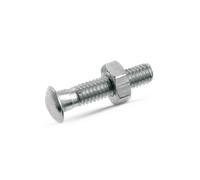 SWGAutomotive 129481625 Screw