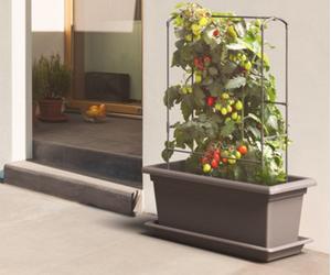 Swift 1000mm Magnus Planter, Trough Flowerpot - Self-Watering Mobile Living Wall Kit With Vermiculite - W98 D38 H39, 110L - Anthracite
